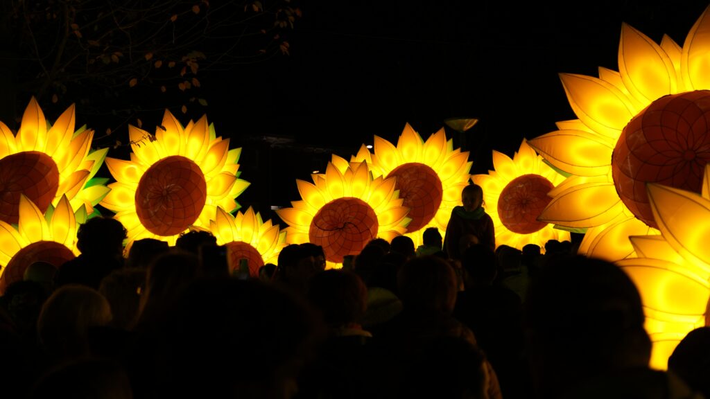 GLOW Eindhoven - Zonnebloemen