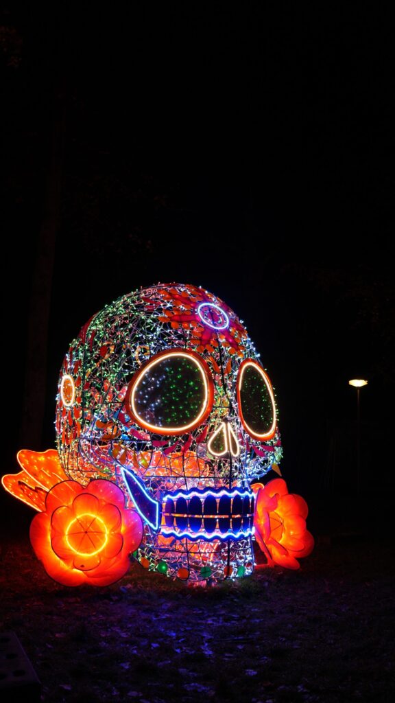 GLOW Eindhoven - Skelet